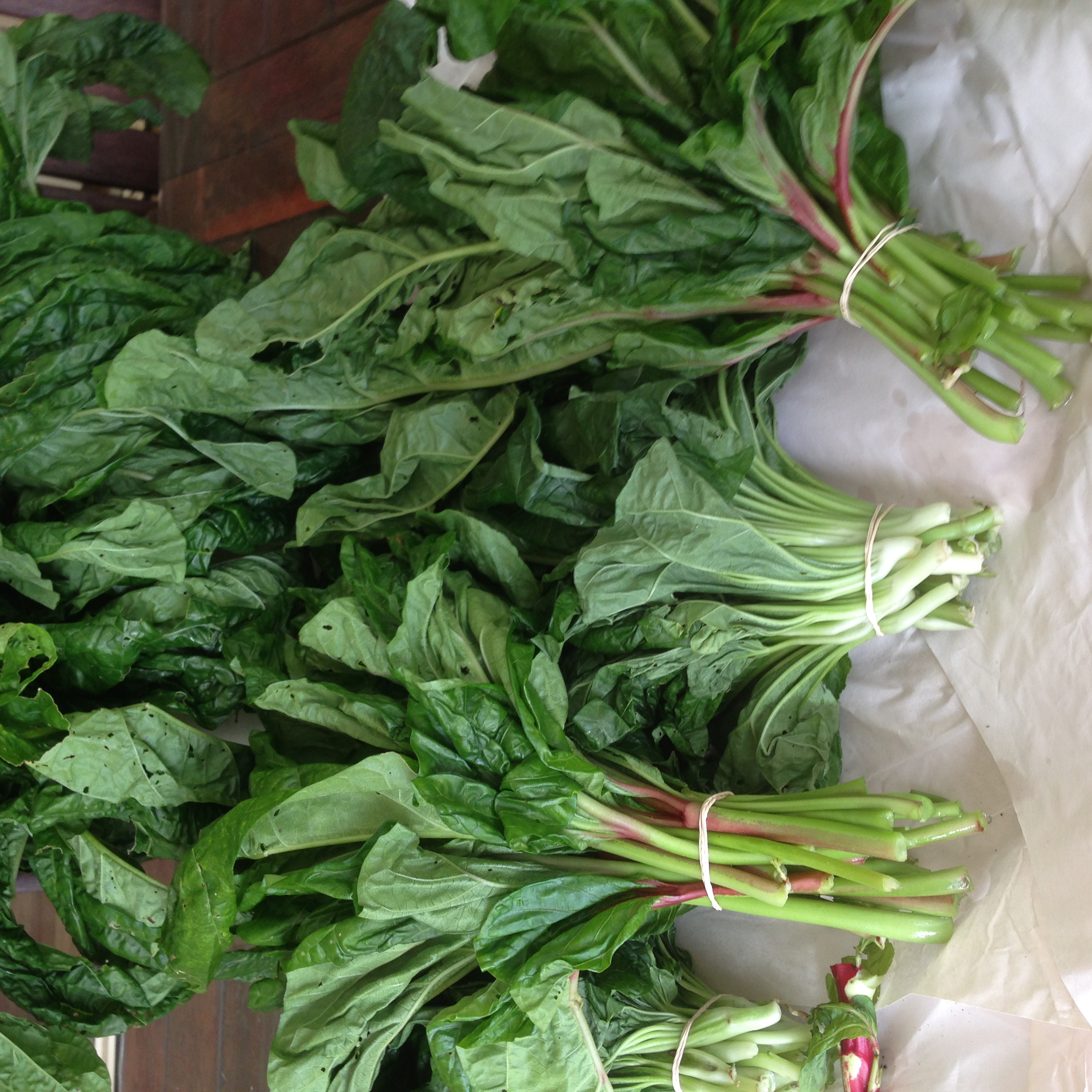 Aibika (Slippery Cabbage)